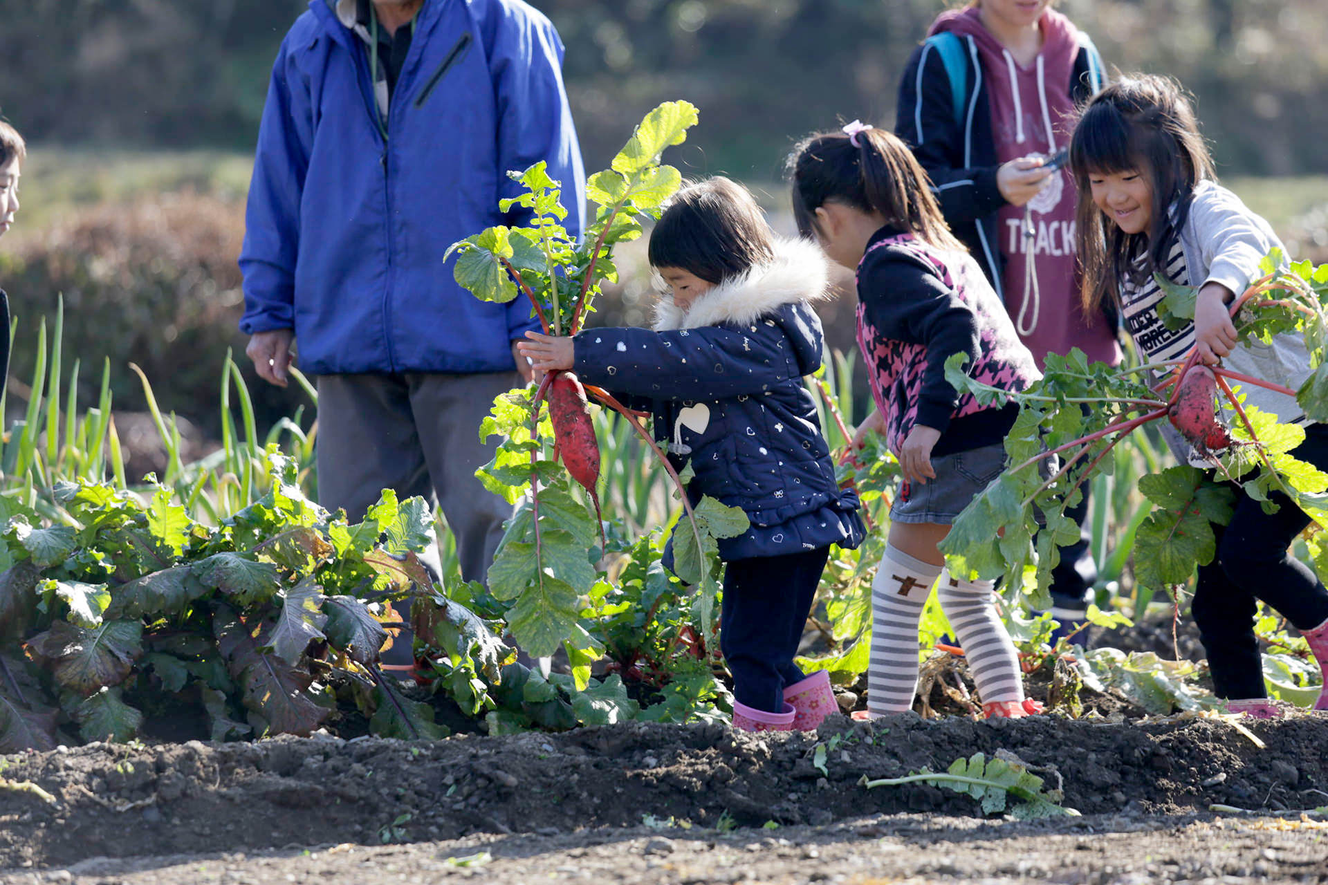 石巻ひがしこども園・石巻たからこども園